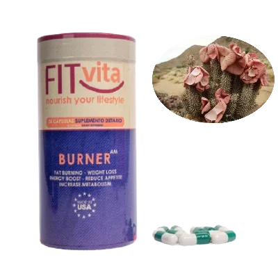Quemador FITvita BURNER